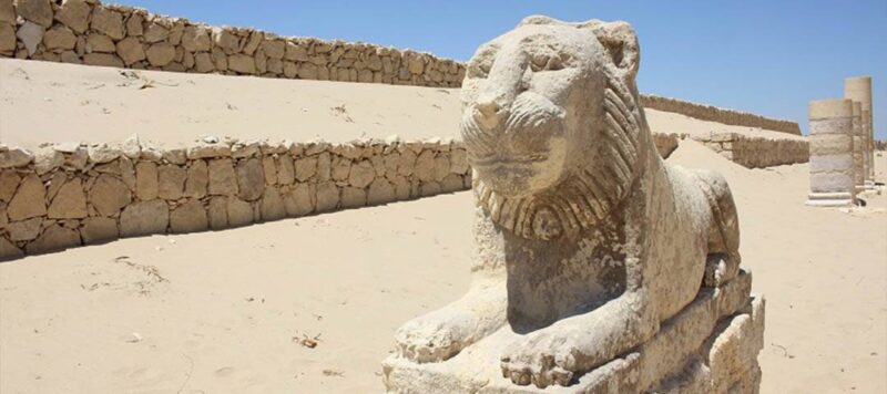 Day Tour to El Fayoum from Cairo - الصورة 3